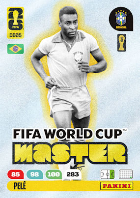 FIFA World Cup Master #DB05