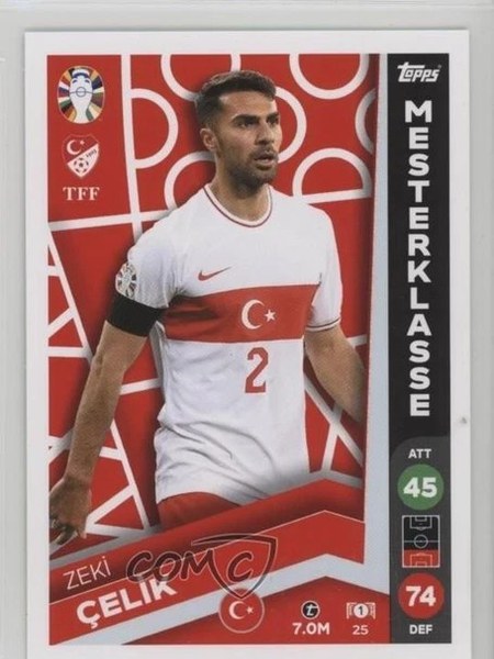 Zeki Çelik #25