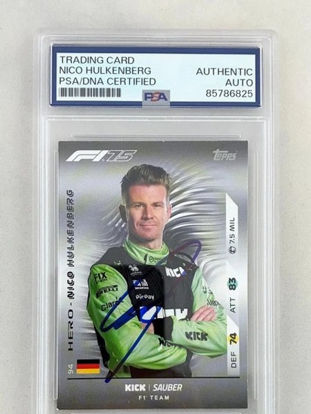 Nico Hulkenberg #19