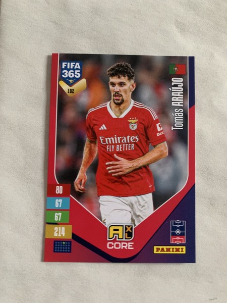 Tomás Araújo #102