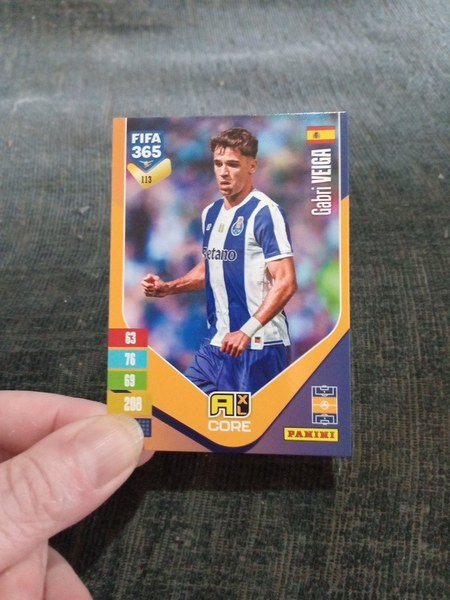 Gabri Veiga #113