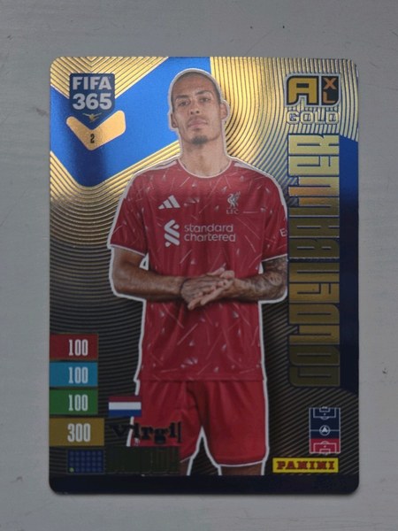 Virgil van Dijk #2