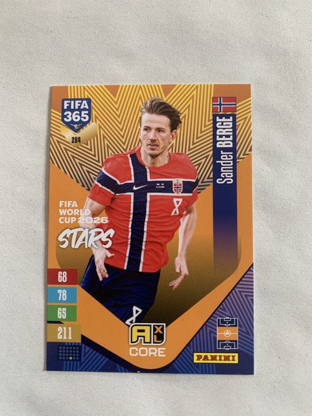 Sander Berge #204