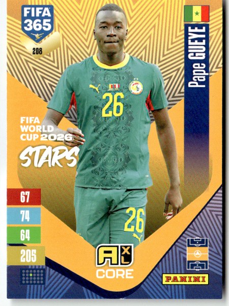 Pape Gueye #208