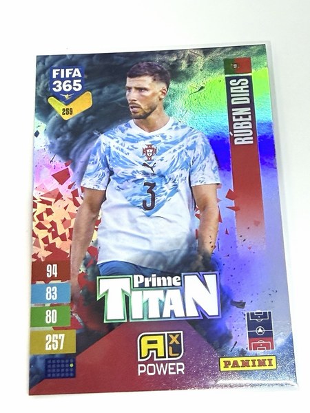 Rúben Dias #259