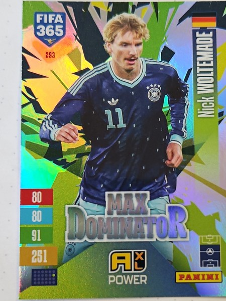 Nick Woltemade #293