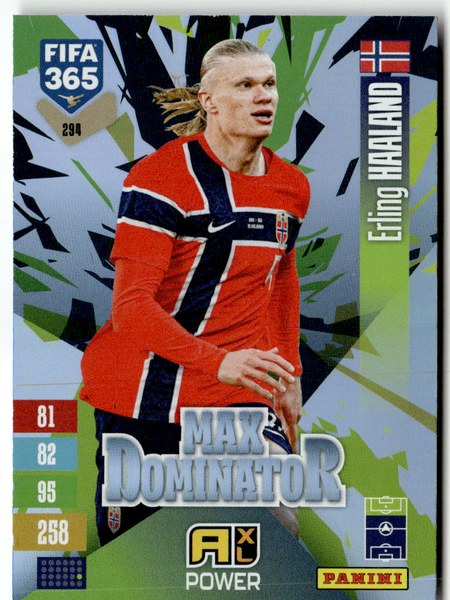 Erling Haaland #294