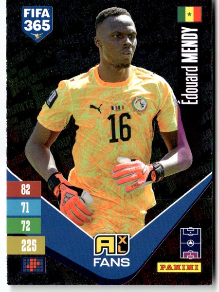 Édouard Mendy #359