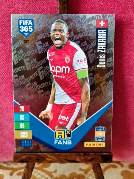 Denis Zakaria #377