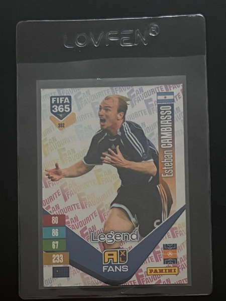 Esteban Cambiasso #392