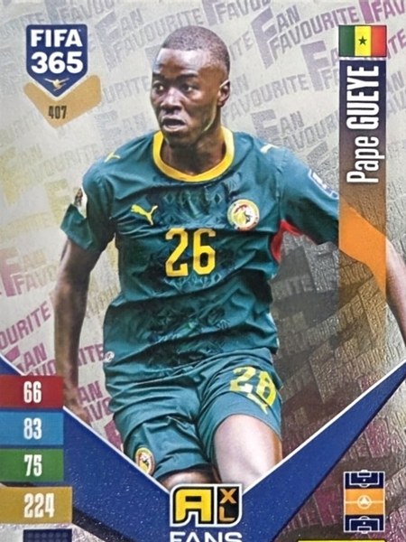 Papa Gueye #407