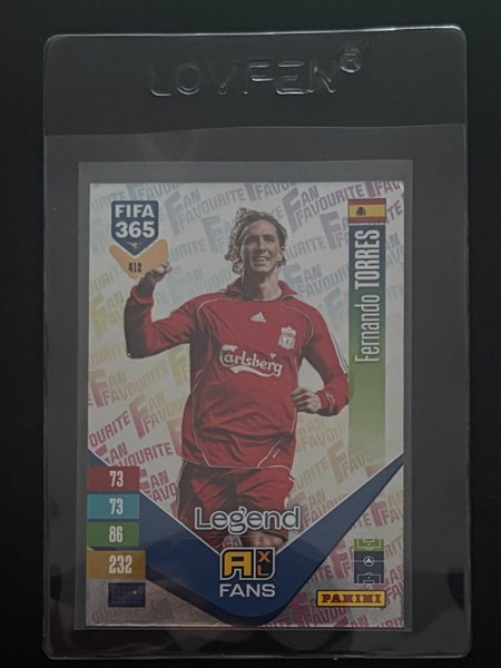 Fernando Torres #412