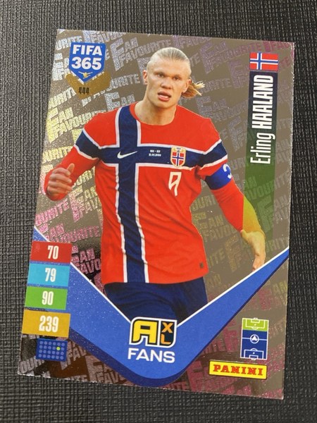 Erling Haaland #444