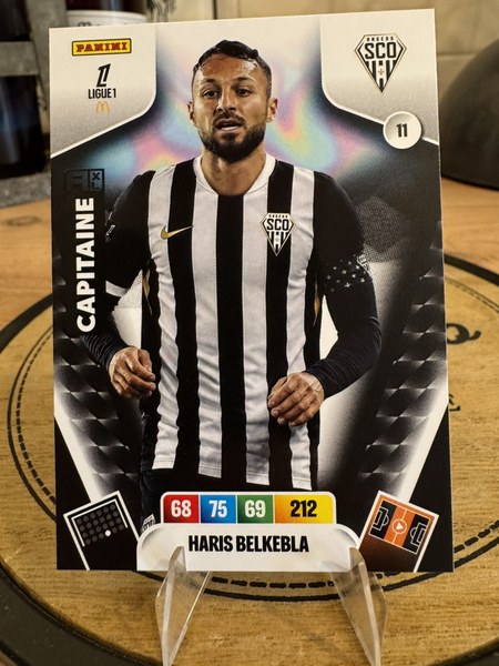 Haris Belkebla #11
