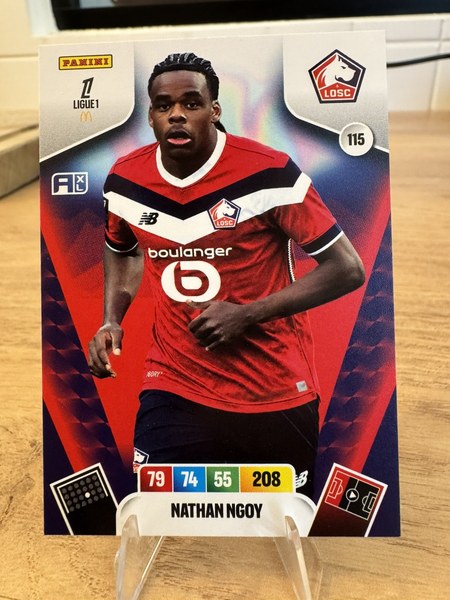 Nathan Ngoy #115