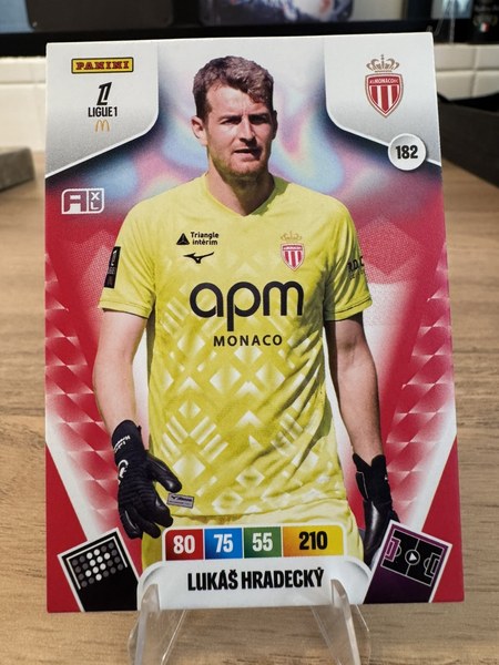 Lukáš Hrádecký #182