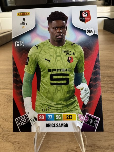 Brice Samba #254