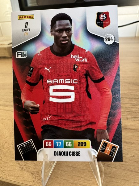 Djaoui Cissé #264