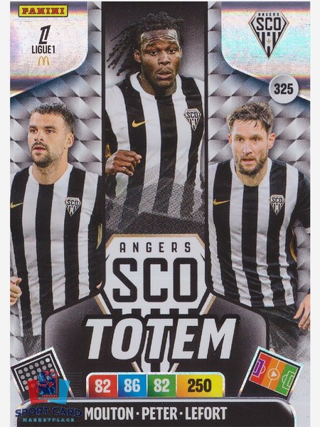 Angers SCO #325