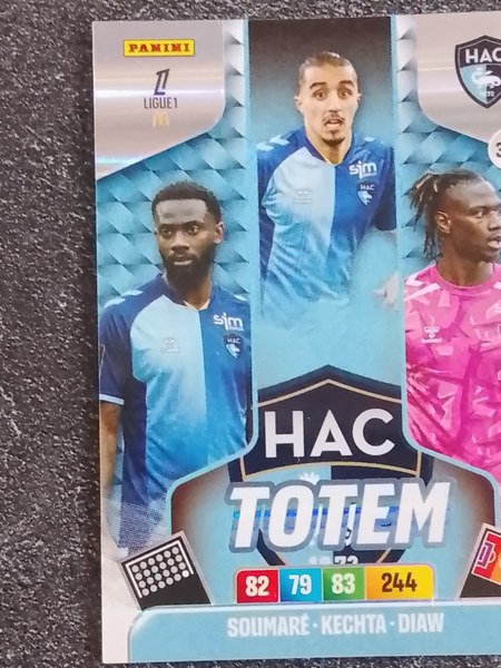 Le Havre AC #328