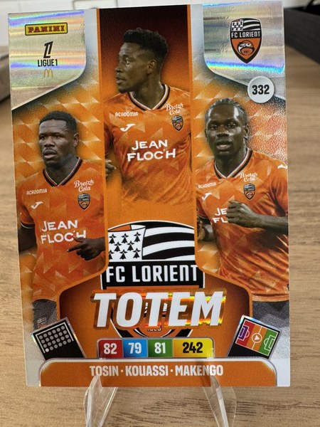 FC Lorient #332