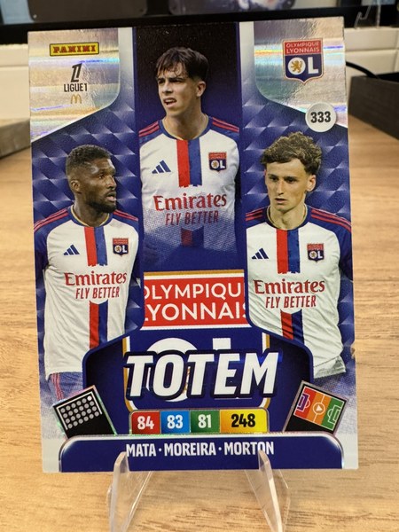 Olympique Lyonnais #333
