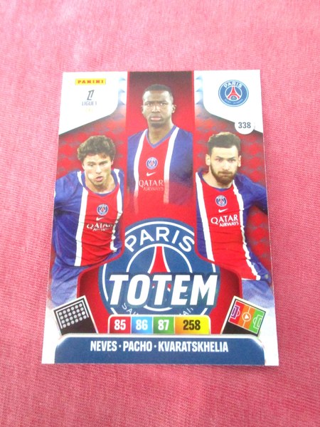 Paris Saint-Germain #338