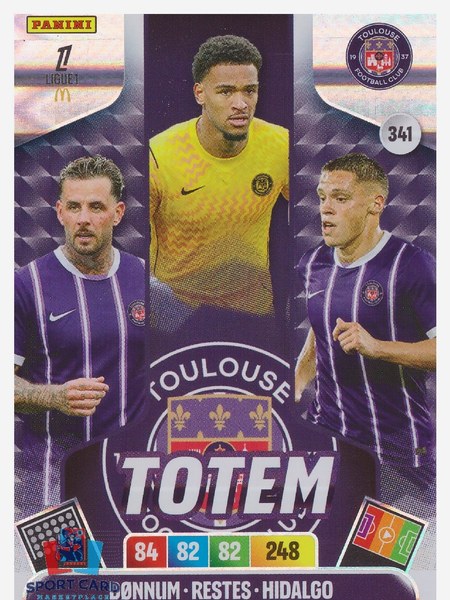 Toulouse FC #341
