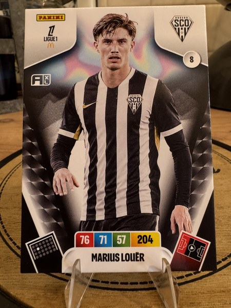Marius Louër #8