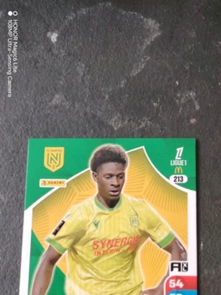 Herba Guirassy #213