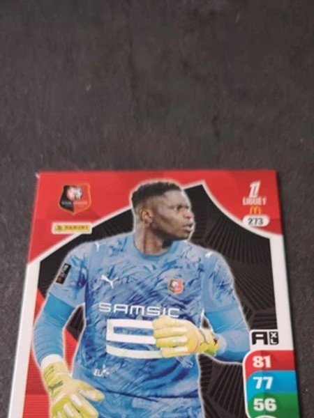 Brice Samba #273