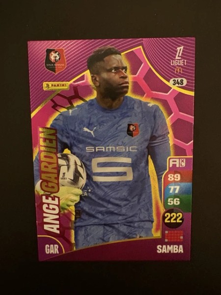 Brice Samba #348