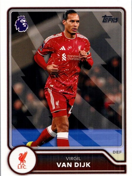 Virgil van Dijk #162