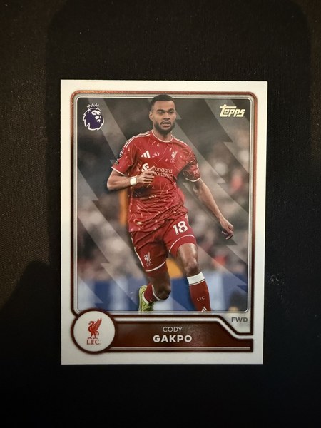 Cody Gakpo #172