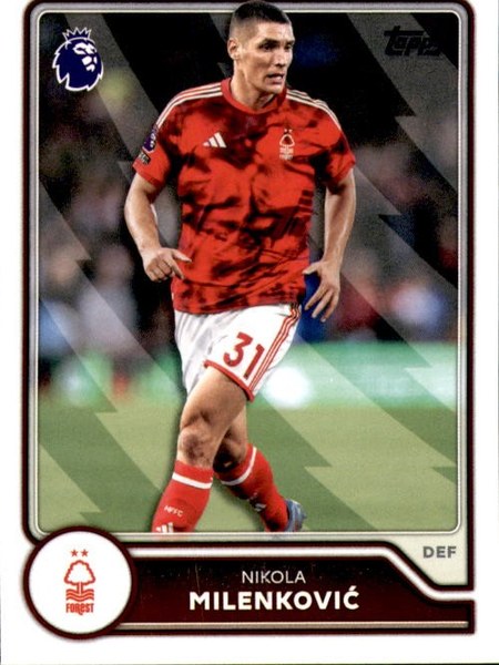 Nikola Milenković #217