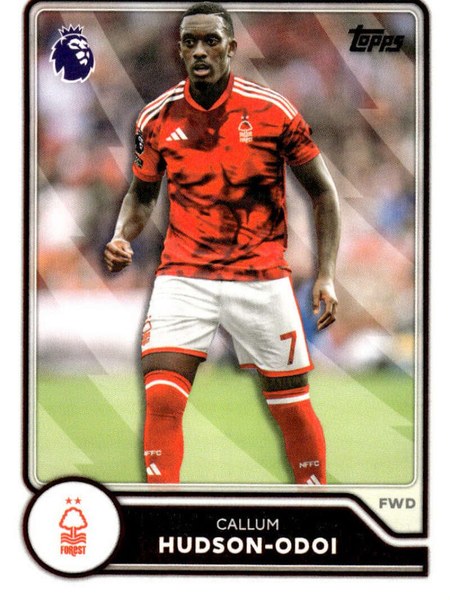 Callum Hudson-Odoi #228