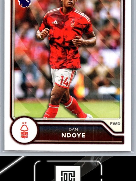 Dan Ndoye #229