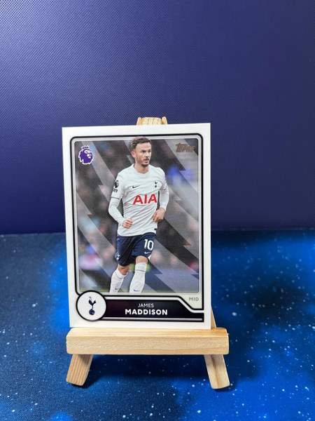 James Maddison #256