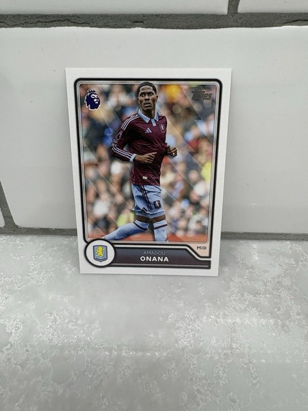 Amadou Onana #41