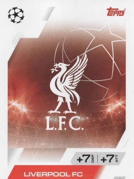 Team Badge #10
