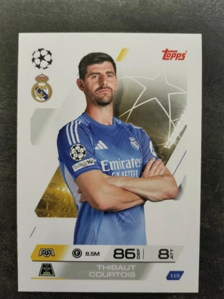 Thibaut Courtois #119