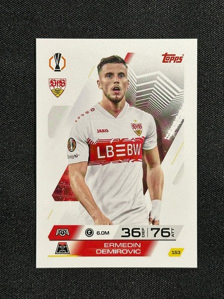 Ermedin Demirović #153