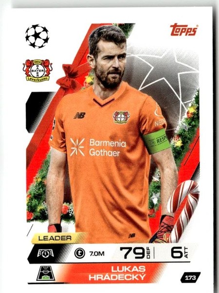 Lukas Hradecky #173