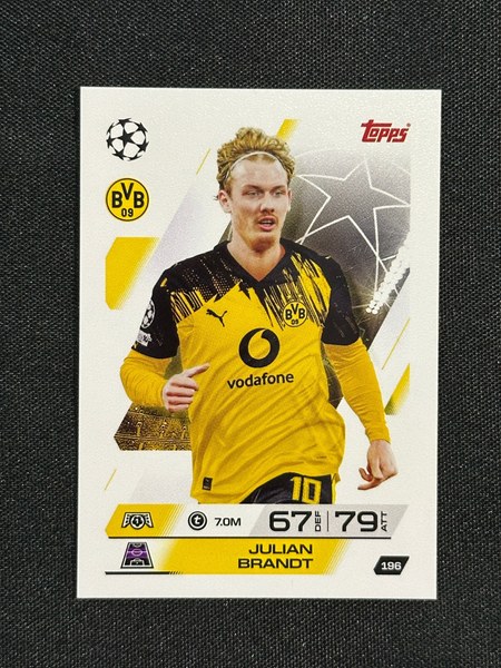 Julian Brandt #196