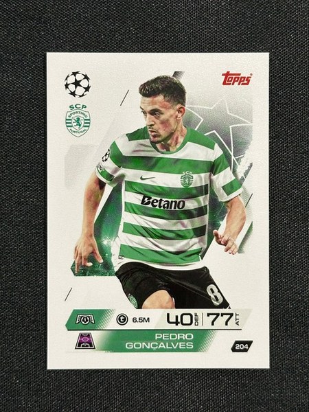 Pedro Gonçalves #204