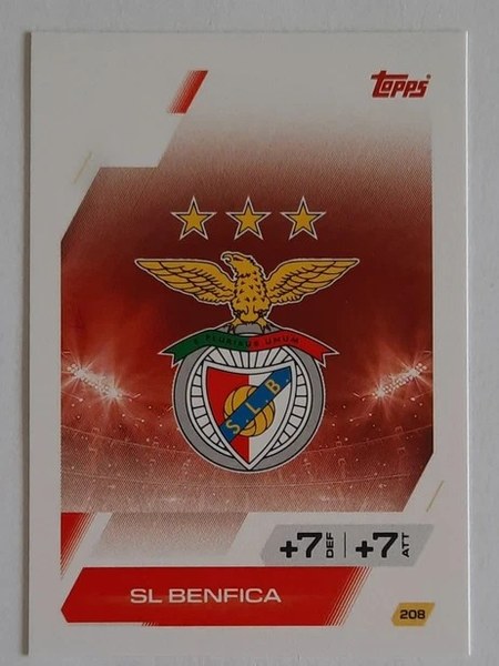 Team Badge #208