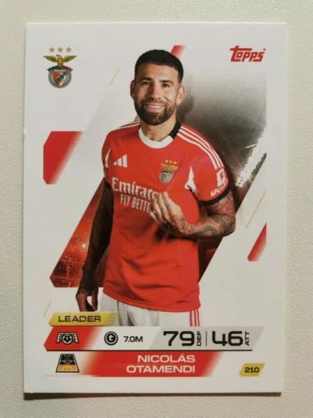 Nicolás Otamendi #210