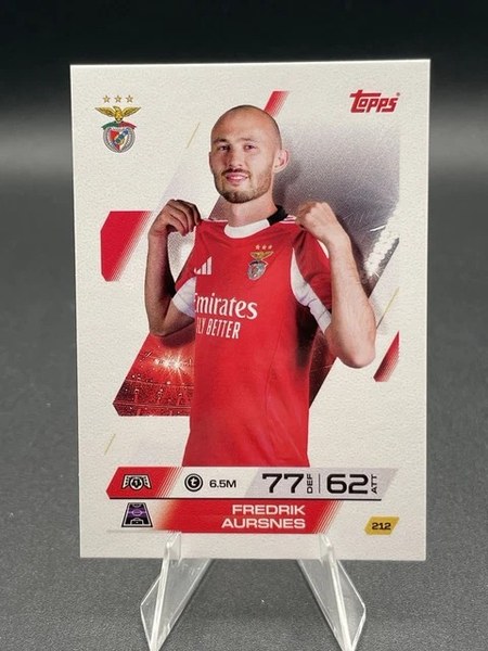 Fredrik Aursnes #212