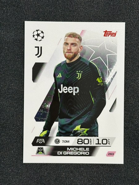 Michele di Gregorio #263