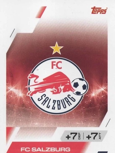 Team Badge #289